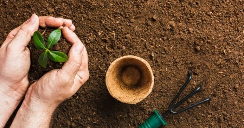 5 Jenis Pupuk Organik Terbaik untuk Tanaman | Popmama.com