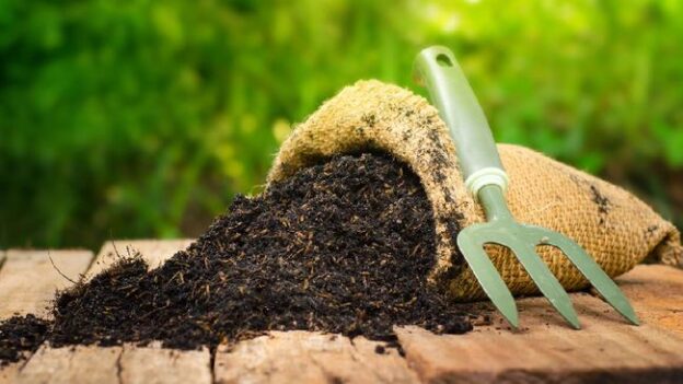 Pentingnya Pupuk Sebagai Nutrisi Tanaman